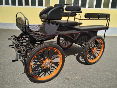 Trainigswagen de Luxe