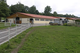 Pferdehof